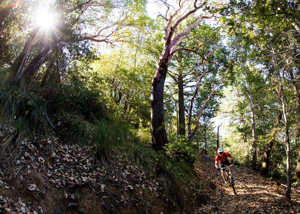 Active Recovery Days for Mountain Bikers