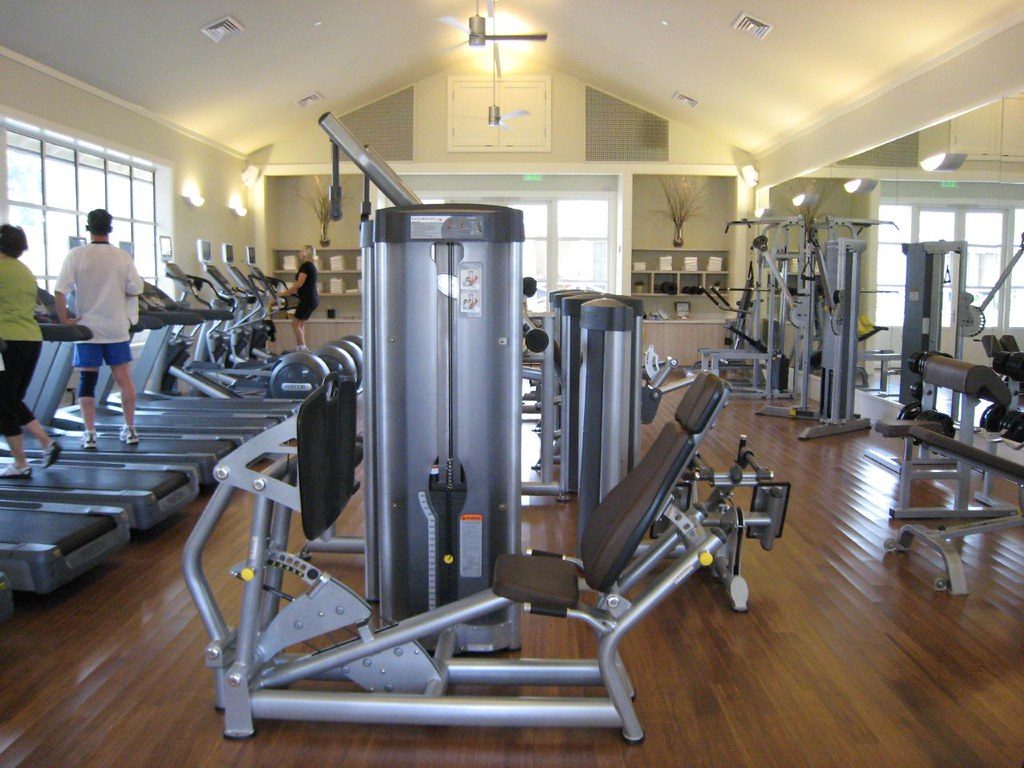 Active Recovery Days for Recreational Lifters