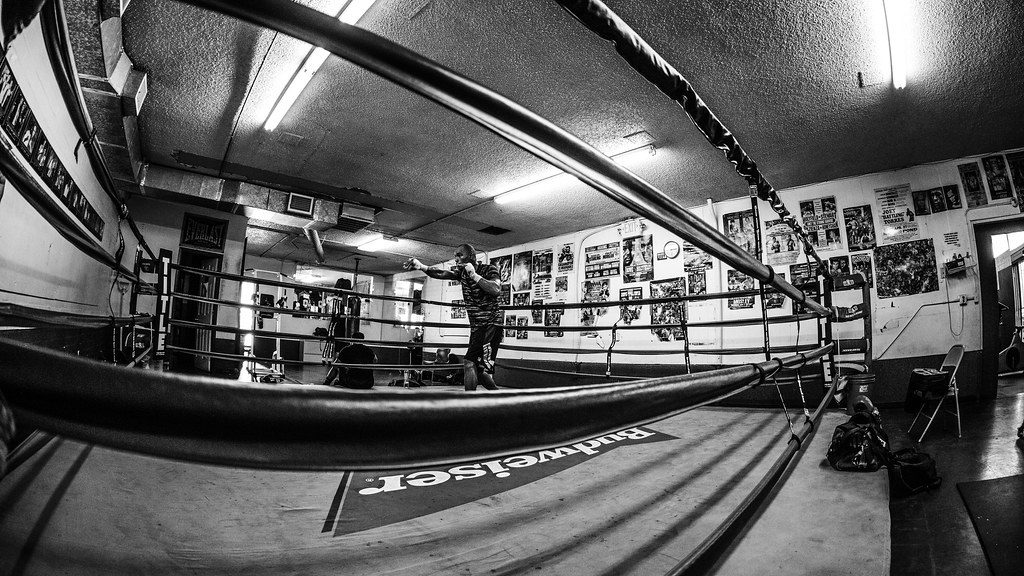 AI Fitness Coaching Tools for Combat Sports Athletes