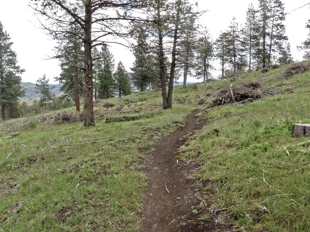 AI Fitness Coaching Tools for Mountain Bikers