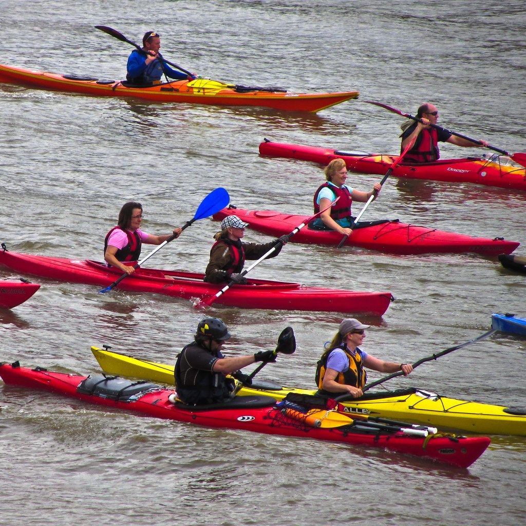AI Fitness Coaching Tools for Rowers