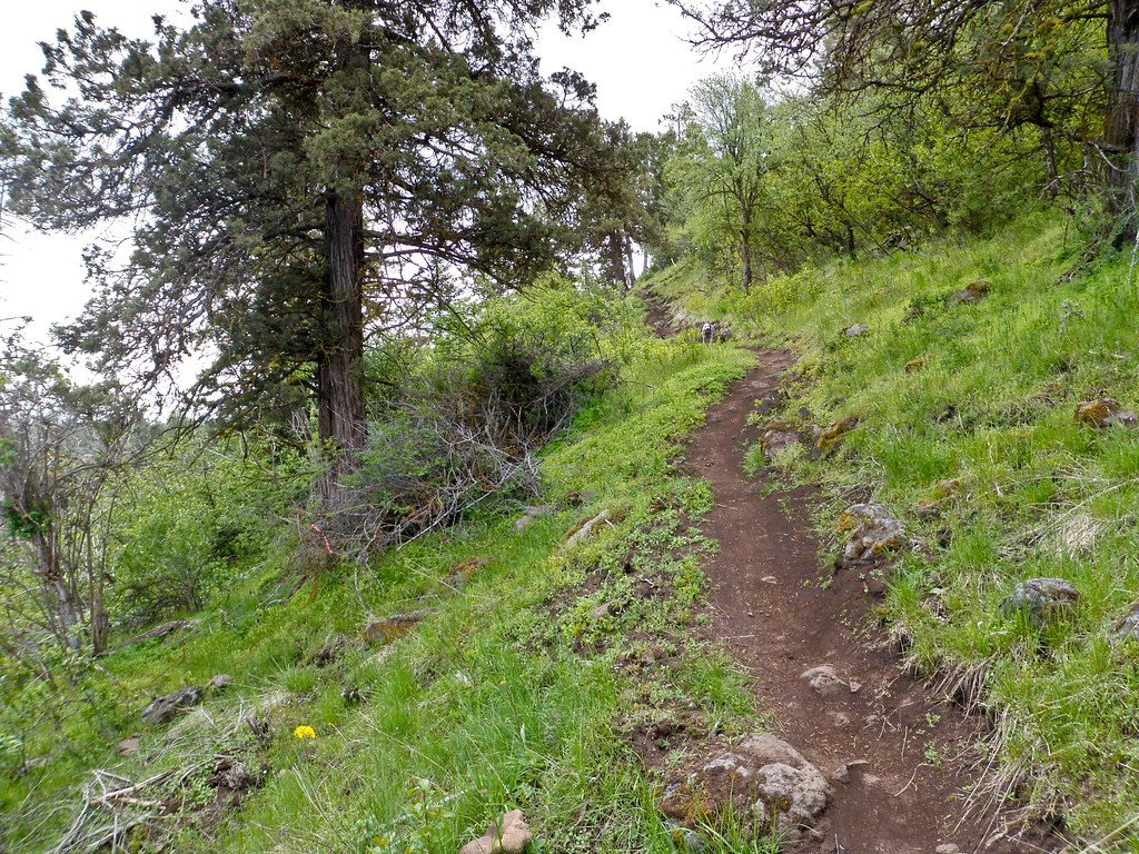 Apple Health Integration Tips for Mountain Bikers