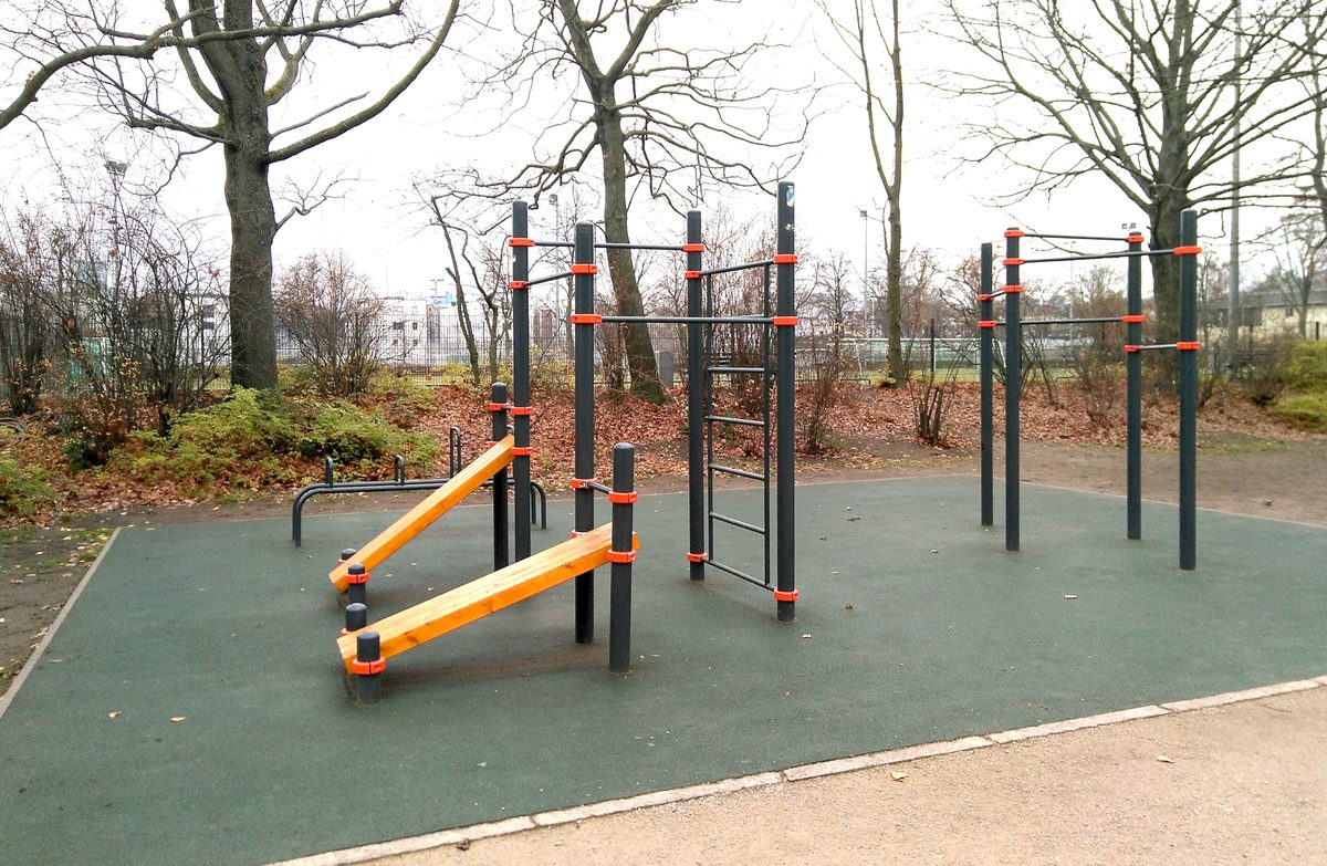 Continuous Glucose Monitor (CGM) Insights for Calisthenics Enthusiasts