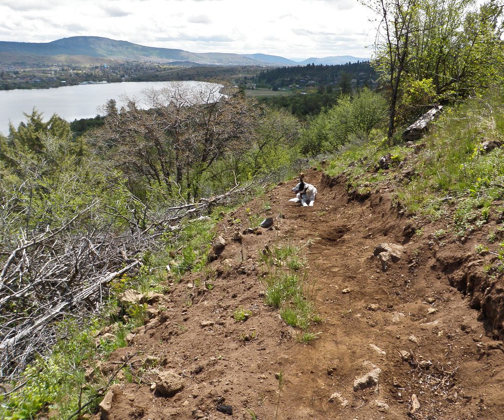 Continuous Glucose Monitor (CGM) Insights for Mountain Bikers