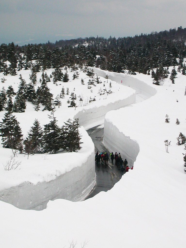 Continuous Glucose Monitor (CGM) Insights for Skiers and Snowboarders