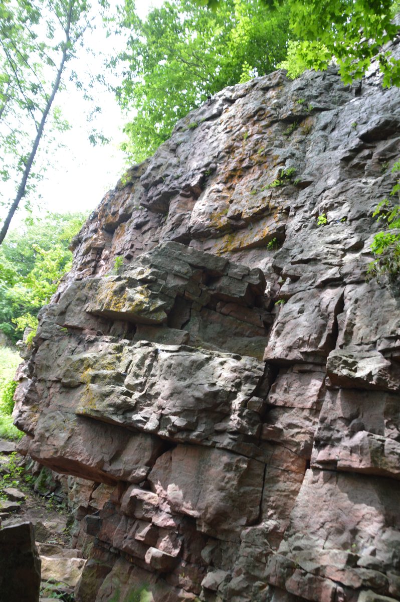 Contrast Therapy (Sauna & Cold Plunge) for Rock Climbers