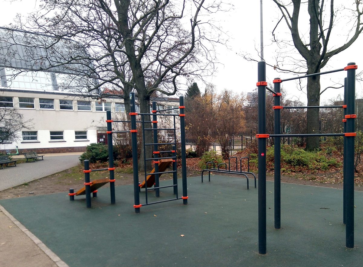 Digital Twins for Fitness and Longevity for Calisthenics Enthusiasts
