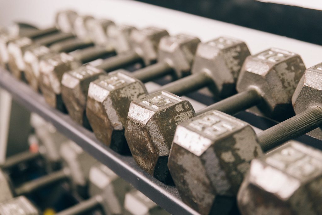Digital Twins for Fitness and Longevity for CrossFit Competitors