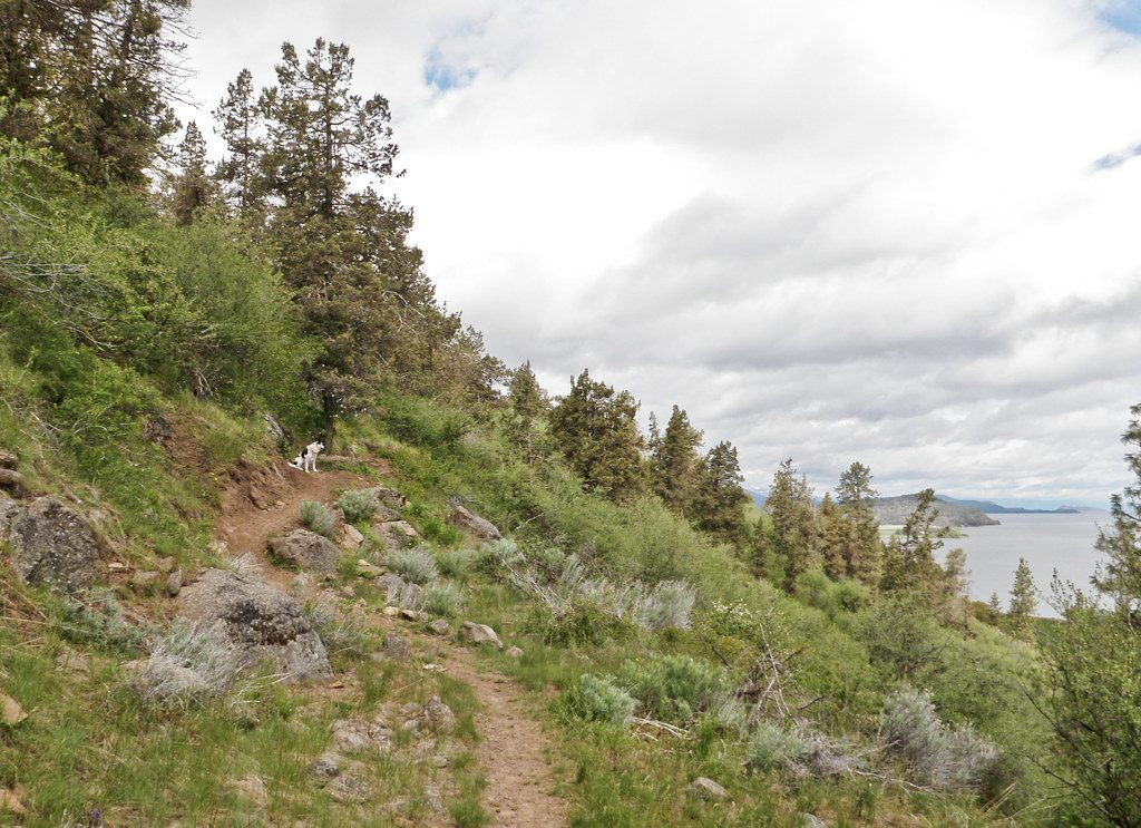 Digital Twins for Fitness and Longevity for Mountain Bikers