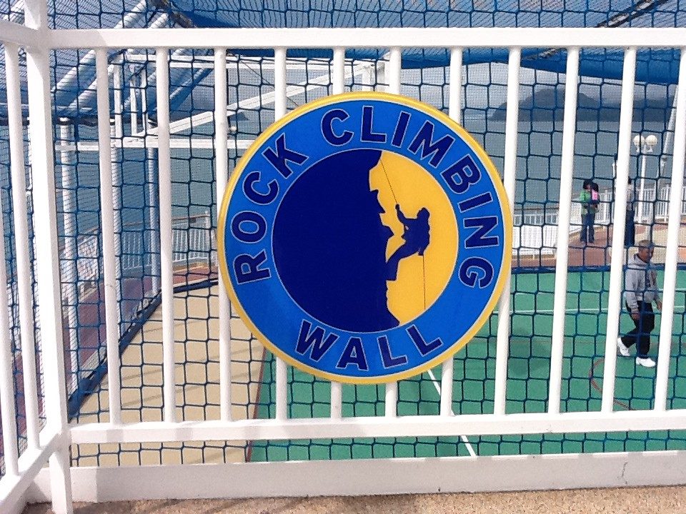 Digital Twins for Fitness and Longevity for Rock Climbers
