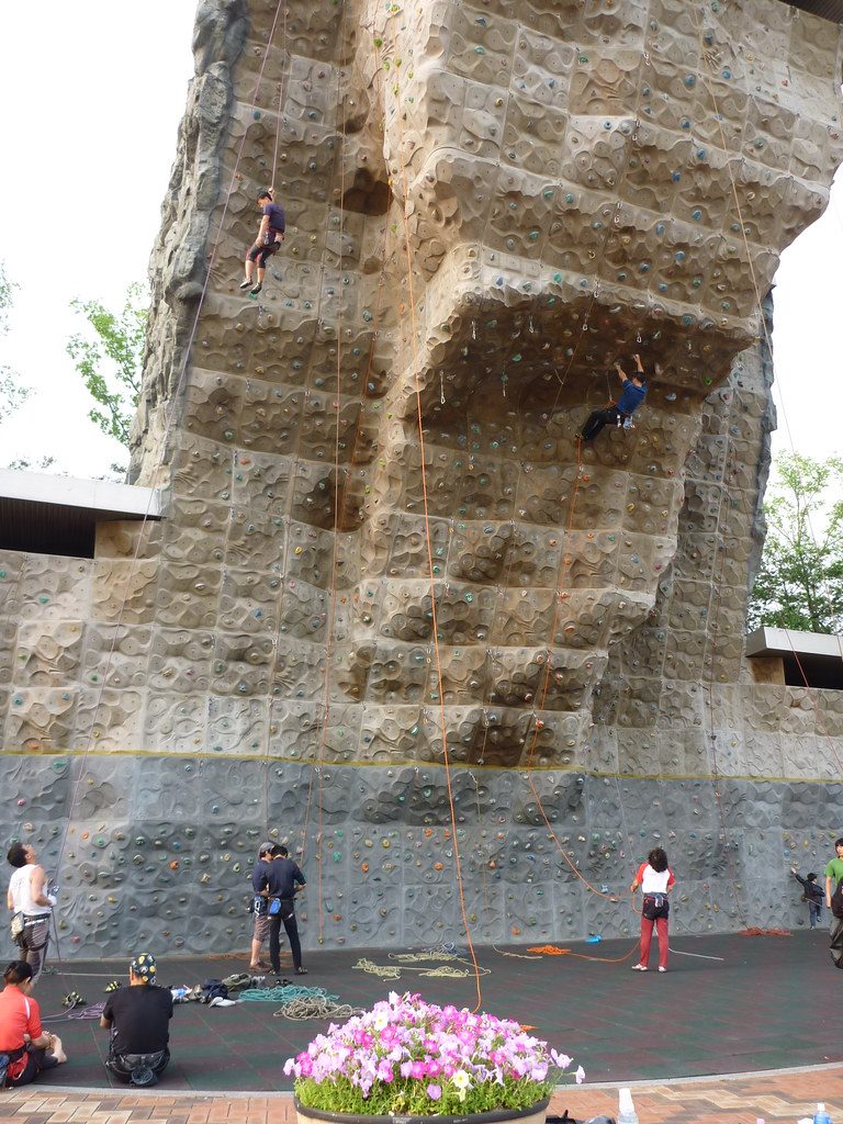 Gut Health and Athletic Performance for Rock Climbers