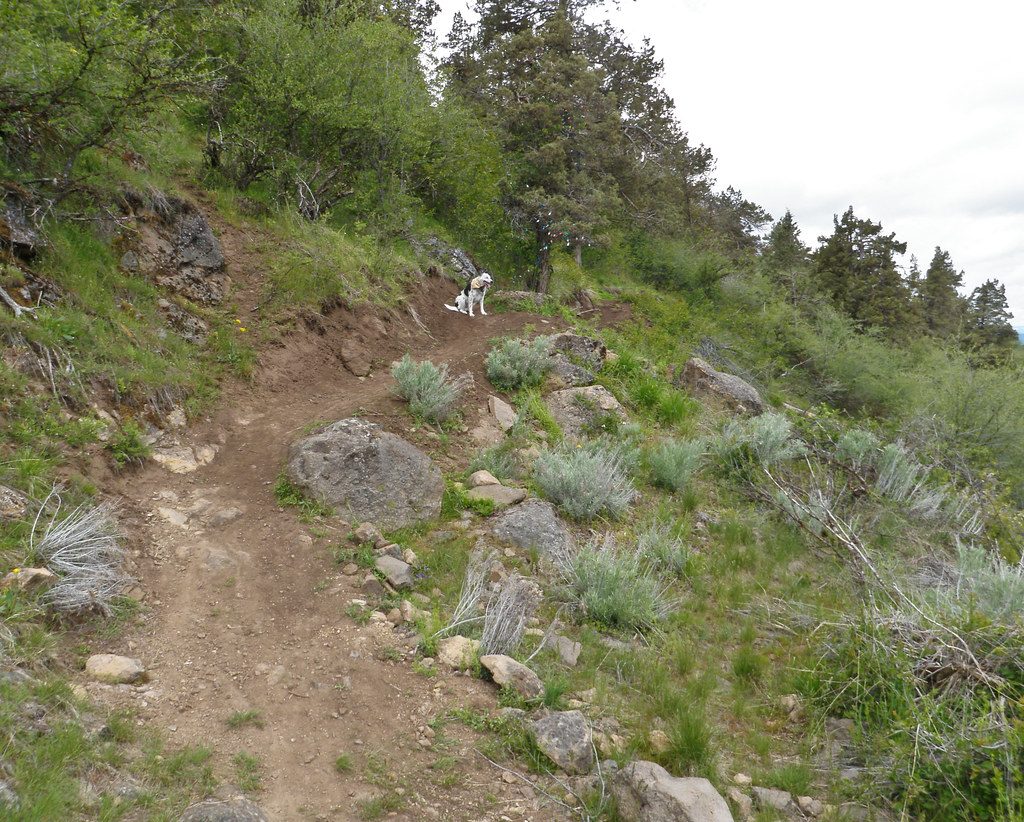 Heart Rate Variability (HRV) Biofeedback for Mountain Bikers