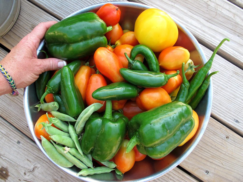 High-Intensity Interval Training (HIIT) for Vegetarian Athletes
