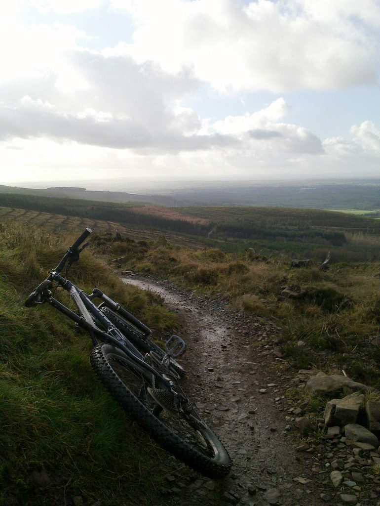 High-Protein Vegetarian Dieting for Mountain Bikers