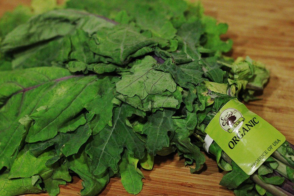 Lactate Threshold Testing with Sensors for Vegetarian Athletes