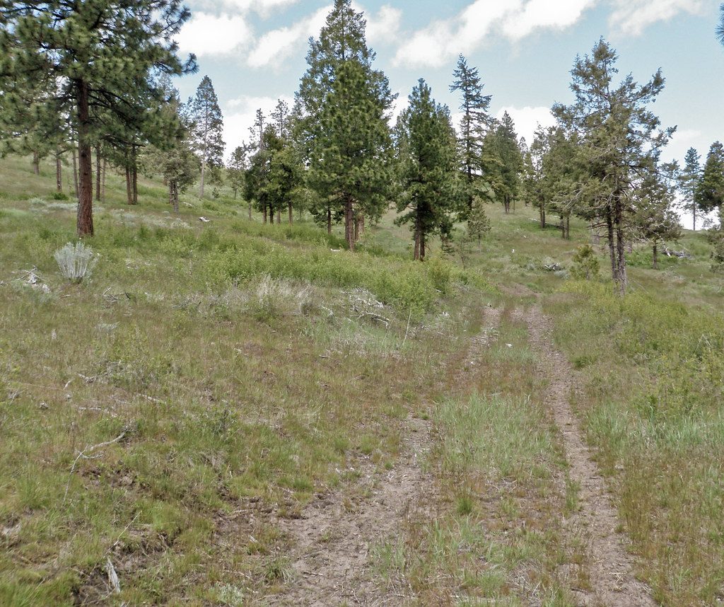 LISS Cardio vs. HIIT for Mountain Bikers