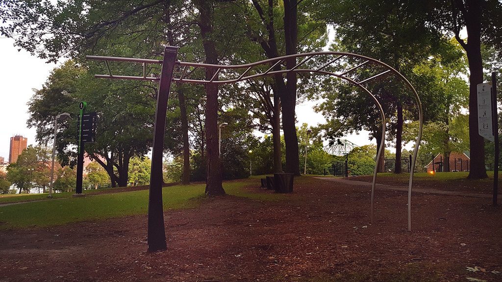 Macro Tracking Guide for Calisthenics Enthusiasts