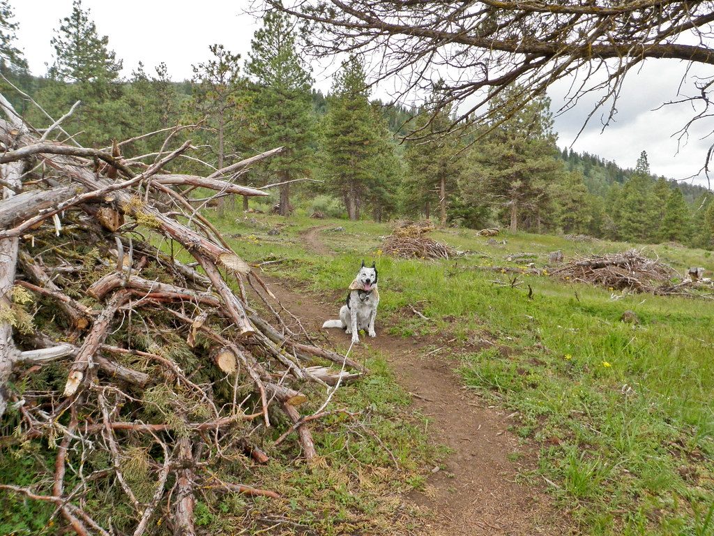 Macro Tracking Guide for Mountain Bikers