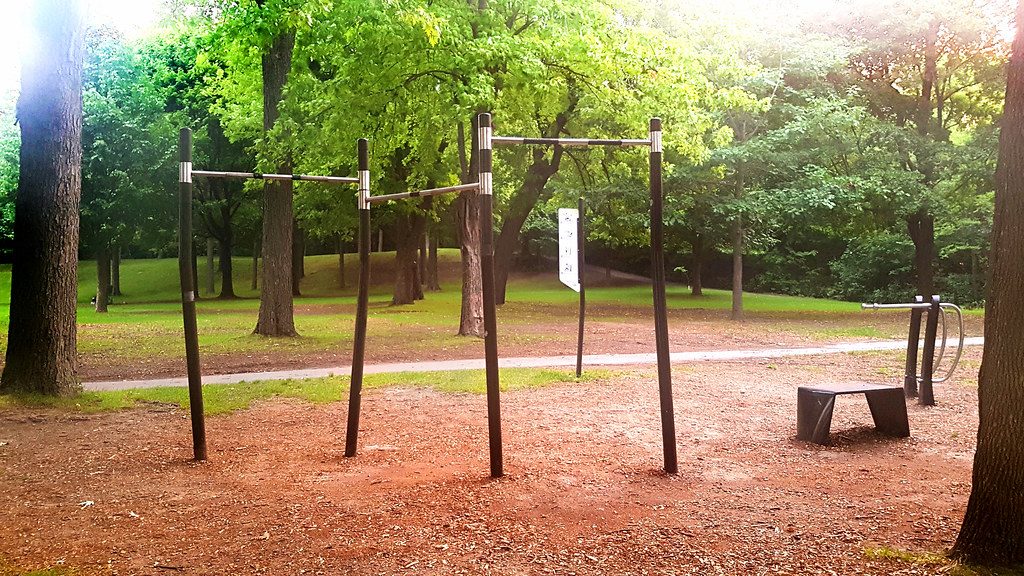 Mitochondrial Health and VO2 Max for Calisthenics Enthusiasts
