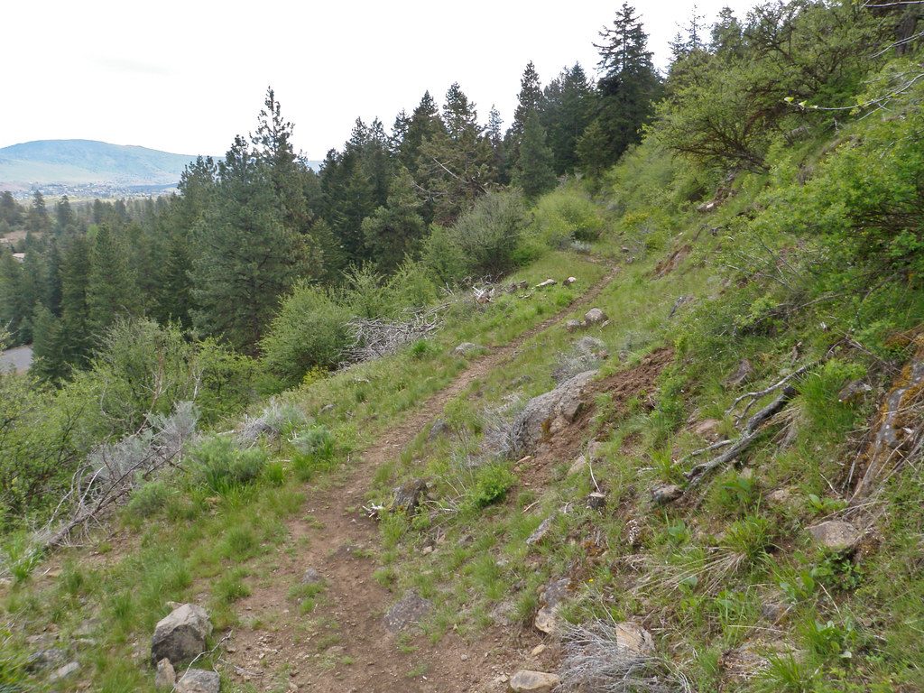 Mitochondrial Health and VO2 Max for Mountain Bikers