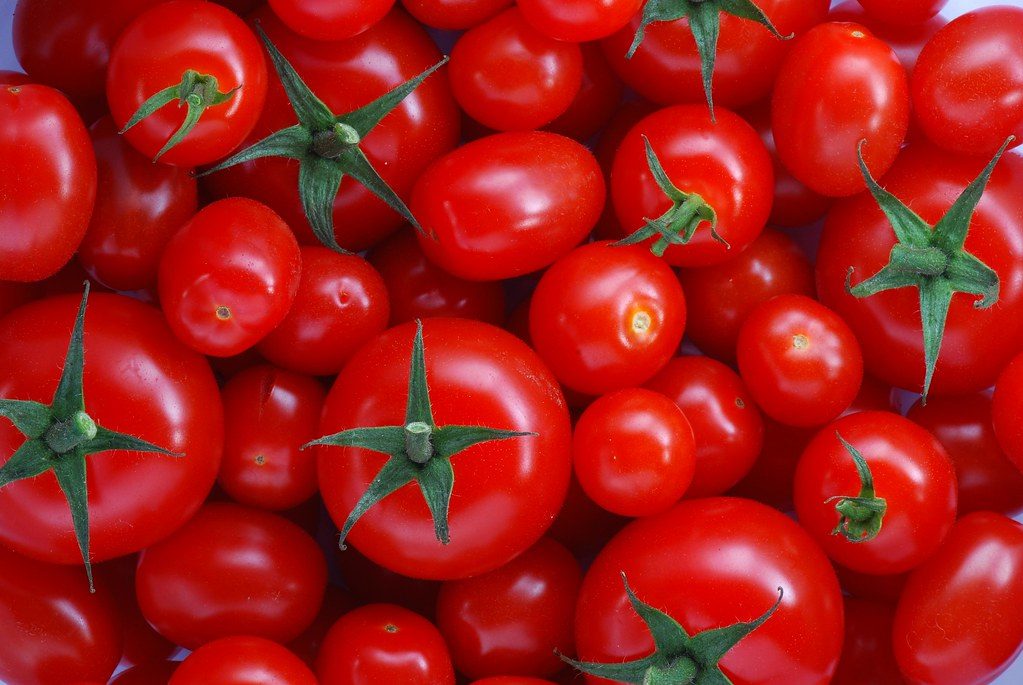 Mitochondrial Health and VO2 Max for Vegetarian Athletes