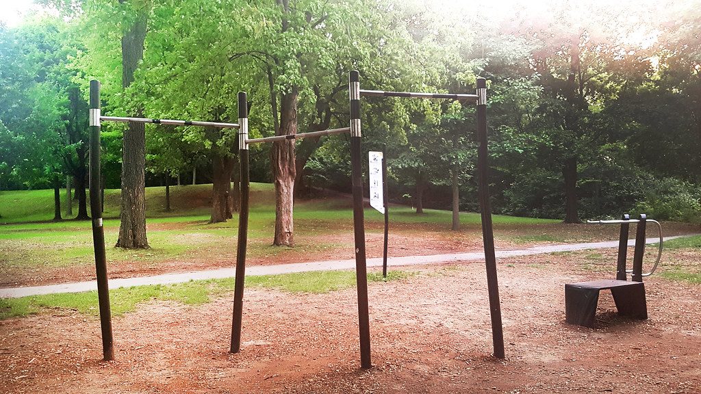 Optimizing Protein Synthesis for Calisthenics Enthusiasts