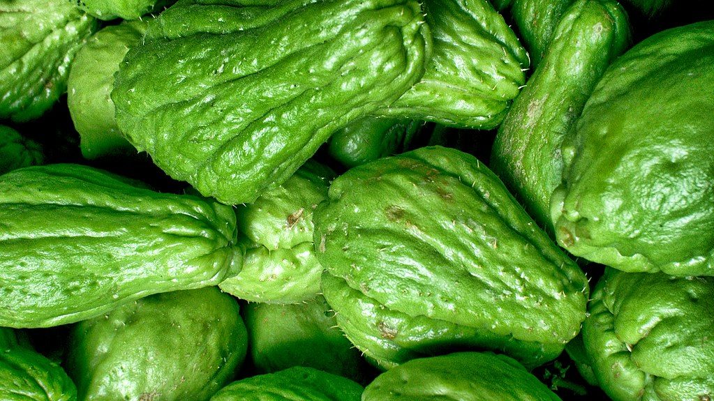 Optimizing Protein Synthesis for Vegetarian Athletes