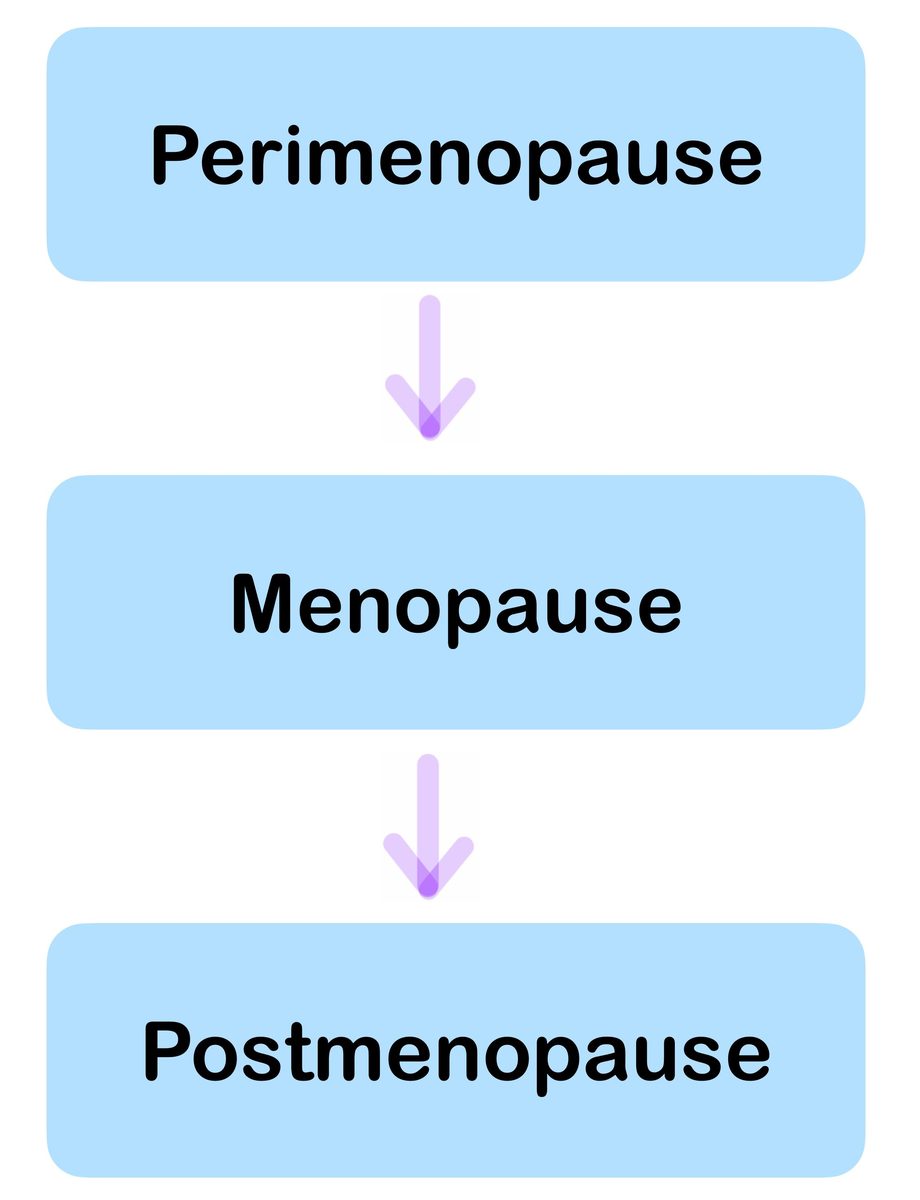 Perimenopause Fitness Guide: Training Through Hormonal Change
