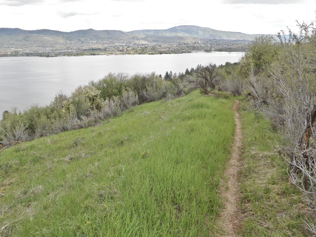 Post-Workout Recovery Meals for Mountain Bikers