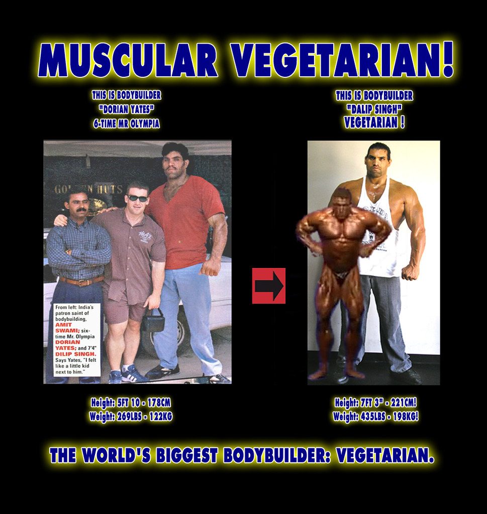 Protein Timing for Women Over 40: Muscle & Hormonal Health