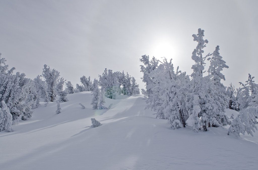 Rowing Machine Conditioning for Skiers and Snowboarders