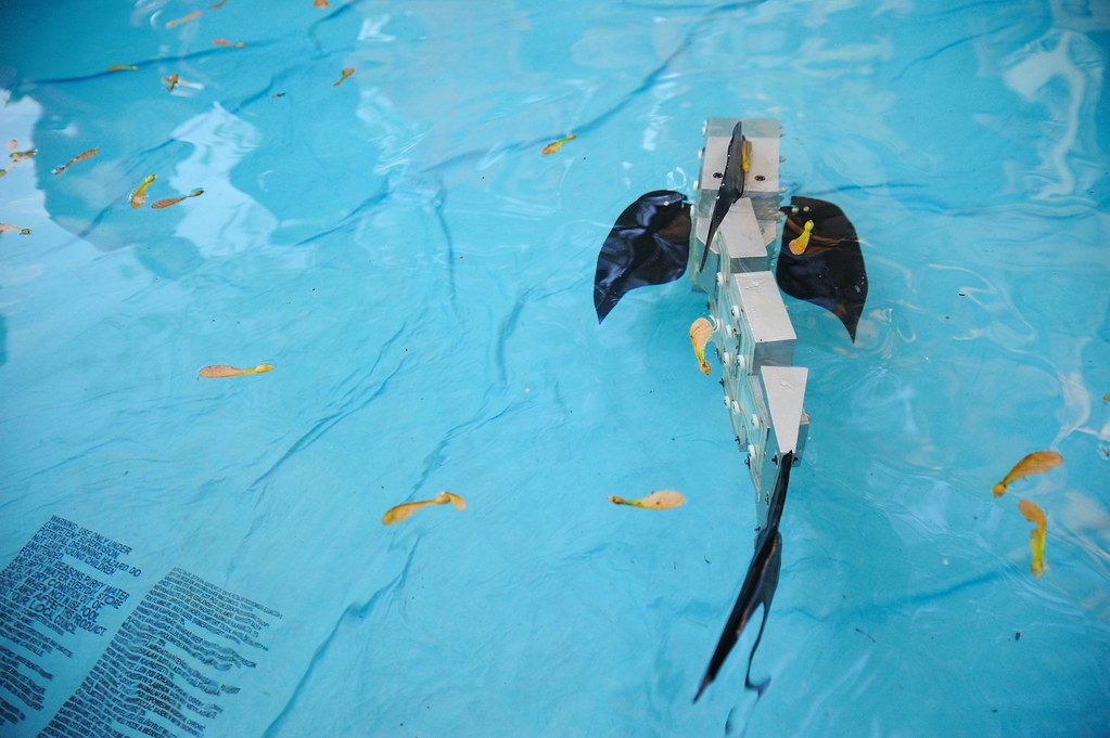 Rucking as Low-Impact Cardio for Swimmers