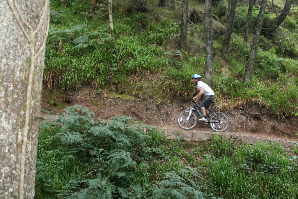 Smart Ring Sleep Stage Analysis for Mountain Bikers