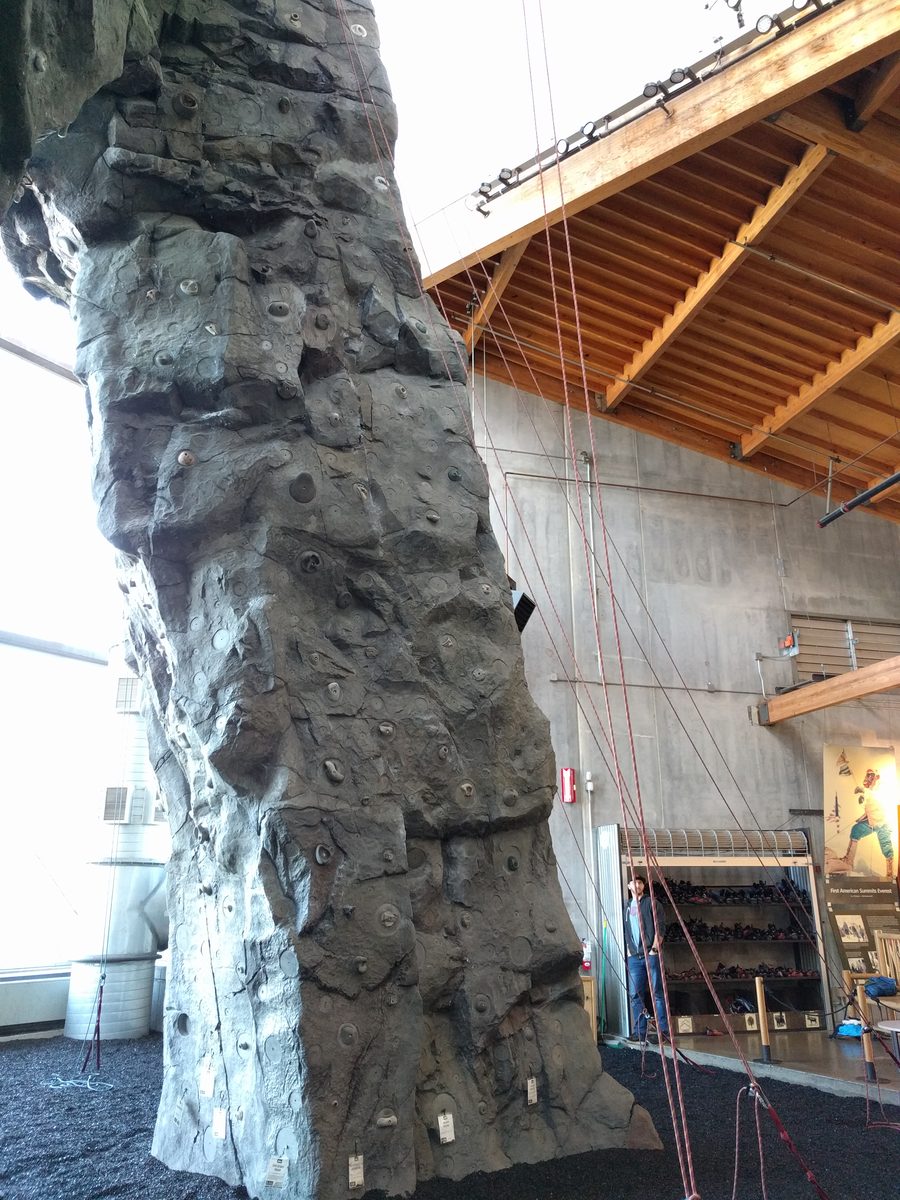 Smart Ring Sleep Stage Analysis for Rock Climbers