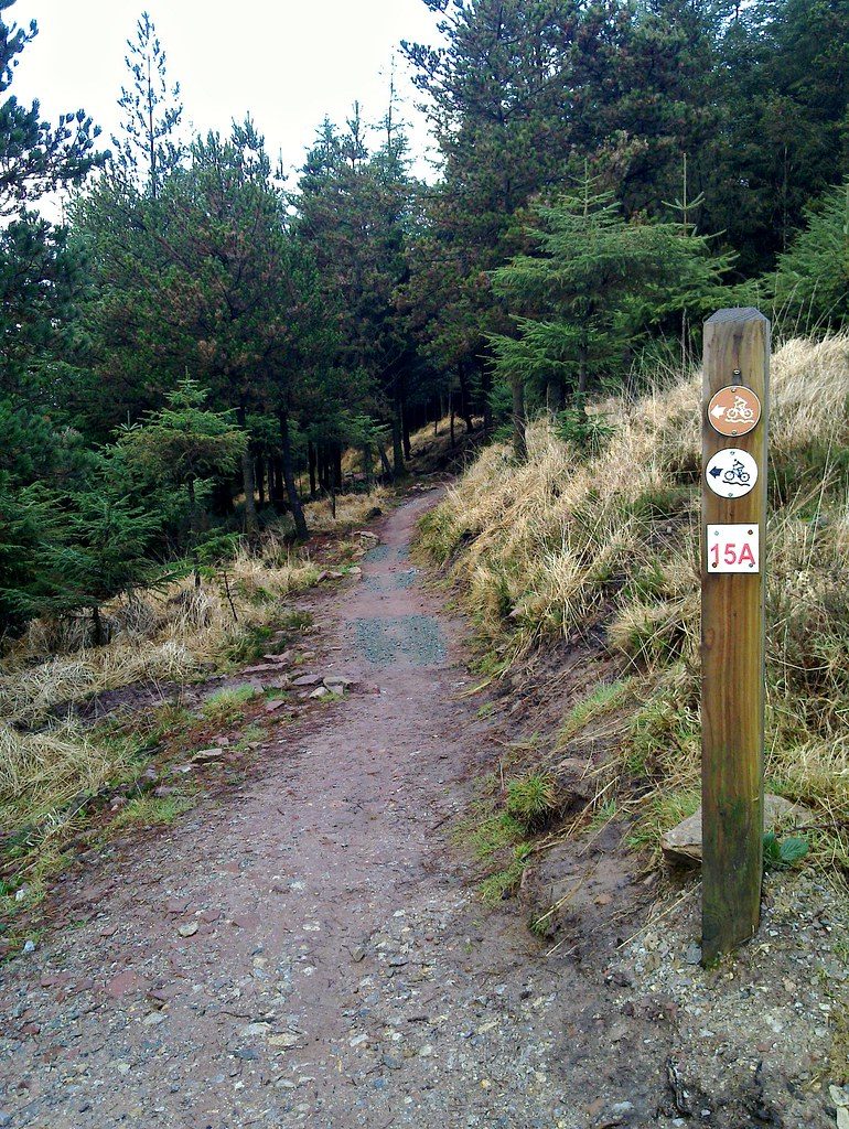 Smart Scales and Hydration Tracking for Mountain Bikers