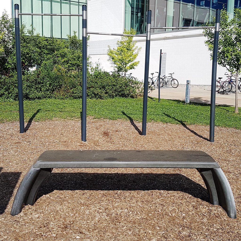 Vitamin D and Bone Density for Calisthenics Enthusiasts