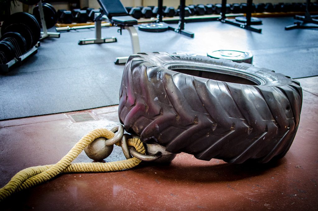 Vitamin D and Bone Density for Combat Sports Athletes