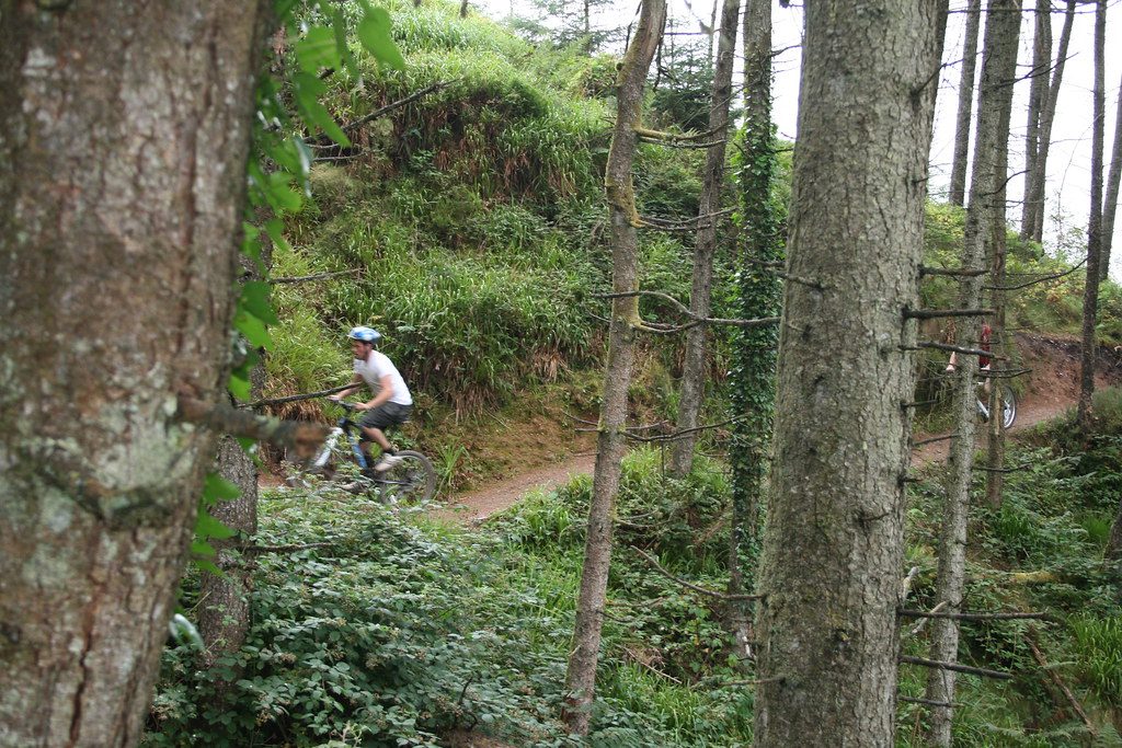 Vitamin D and Bone Density for Mountain Bikers