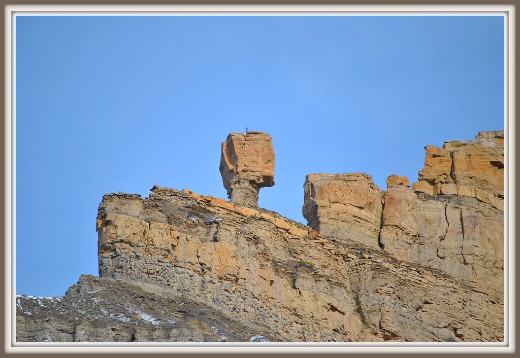 Vitamin D and Bone Density for Rock Climbers