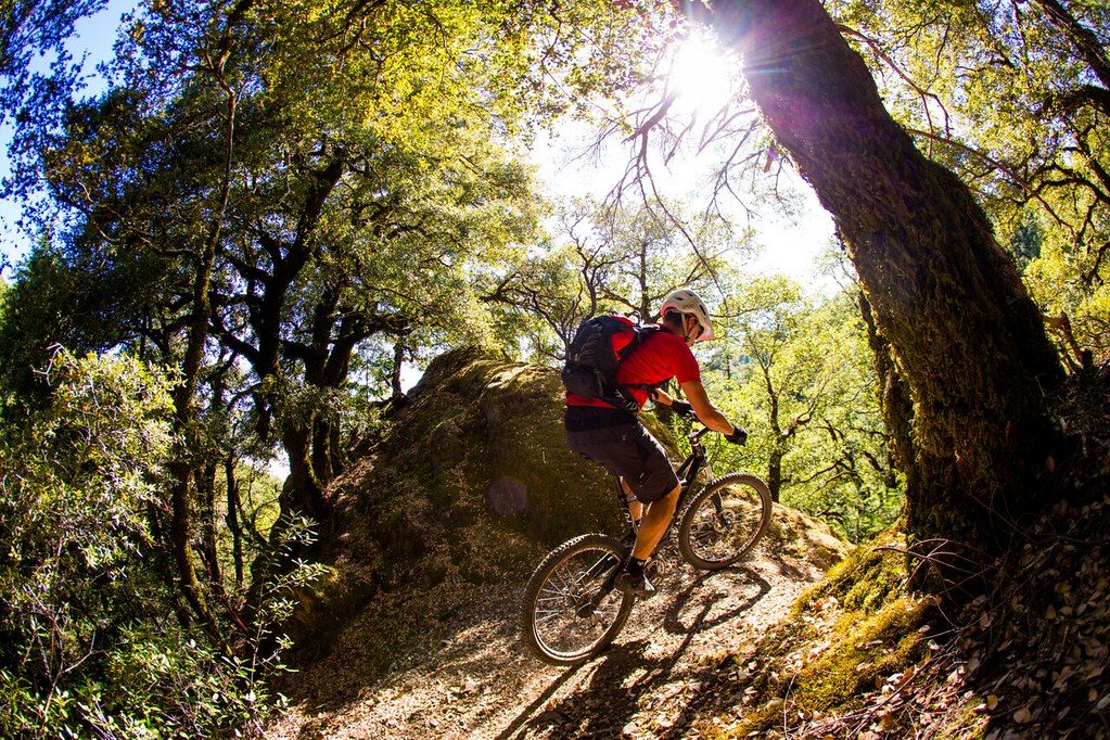 Yoga and Mobility Drills for Mountain Bikers